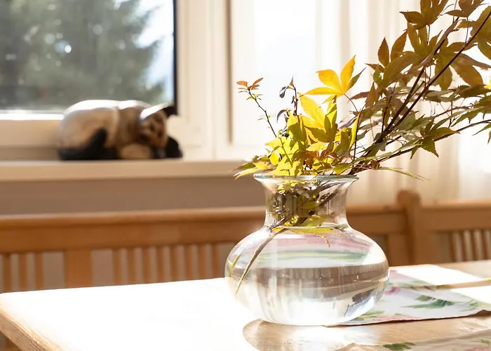 Leitzinger Og1 * Saint Wolfgang