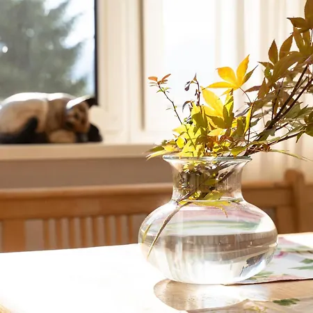 Leitzinger Og1 * Saint Wolfgang